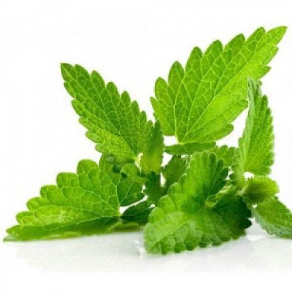 Olejek zapachowy MIĘTA 100ML