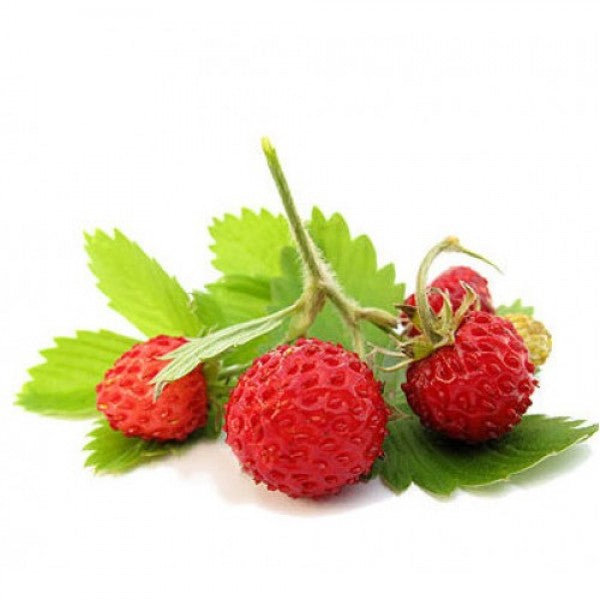 Olejek zapachowy POZIOMKA 100ML