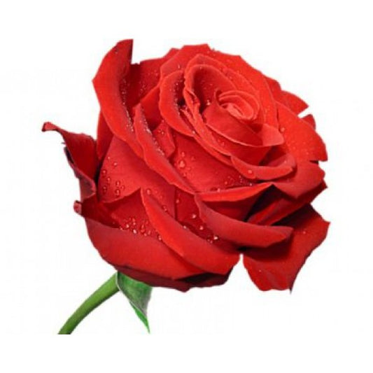 Olejek zapachowy RÓŻA 100ML